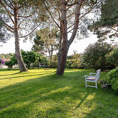 Villa Hermes San Ferdinando Extérieur photo