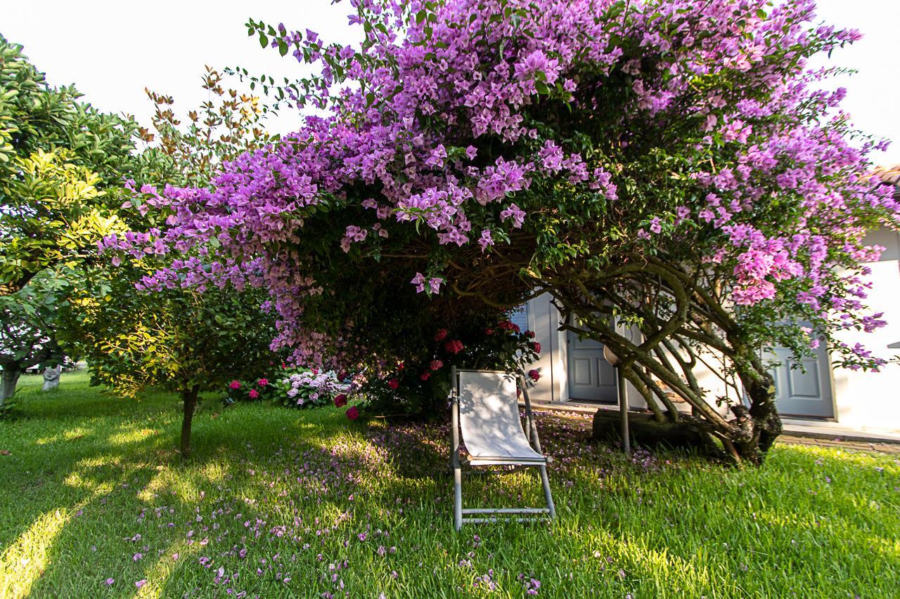 Villa Hermes San Ferdinando Extérieur photo